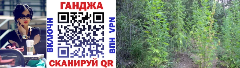 ГАШИШ Дубна
