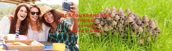 мяу мяу мука Новодвинск